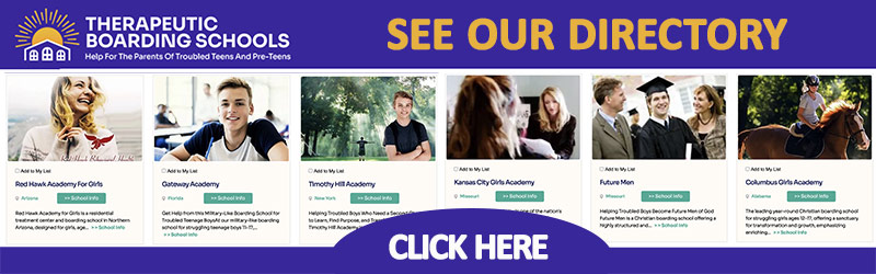 therapeutic schools